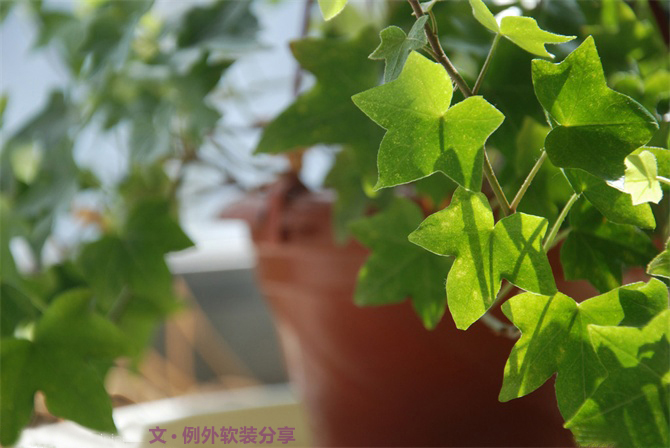 新房子裝修甲醛從哪里來？-別墅設計,軟裝設計,室內設計,豪宅設計,深圳例外軟裝設計公司
